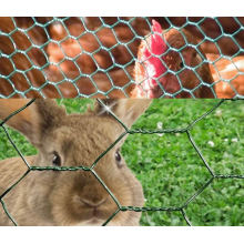 Hexagonal Wire Mesh for Poultry Netting